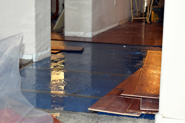 Professional Water Extraction technician working in Laceys Spring, AL